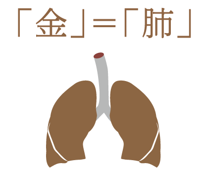 金＝肺
